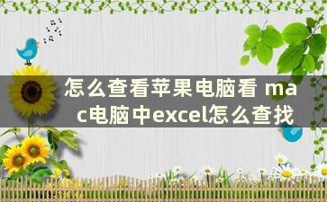 怎么查看苹果电脑看 mac电脑中excel怎么查找